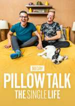 Watch 90 Day Pillow Talk: The Single Life Moviesjoy
