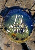 Watch 13 Hours to Survive Moviesjoy