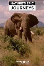 Watch Nature's Epic Journeys Moviesjoy