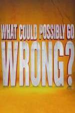 Watch What Could Possibly Go Wrong Moviesjoy