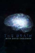 Watch The Brain with Dr David Eagleman Moviesjoy