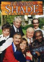 Watch Evening Shade Moviesjoy
