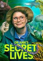 Watch Dr Ann\'s Secret Lives Moviesjoy